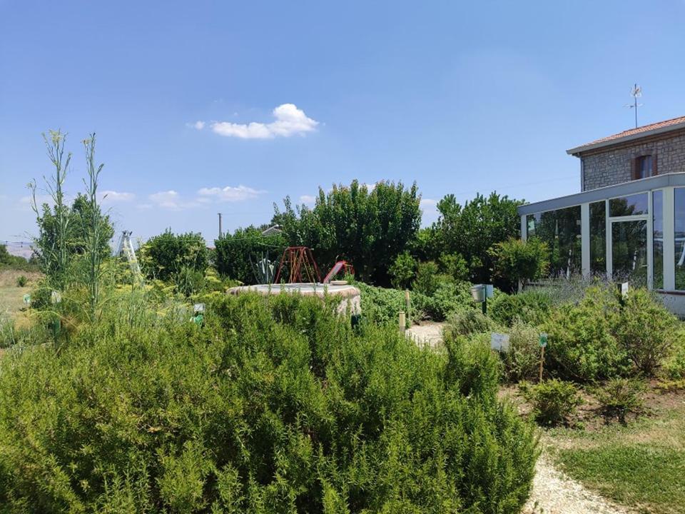 Masseria Fontana Dei Fieri Pietrelcina Exterior foto